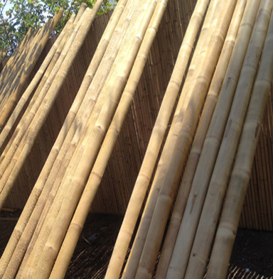 Bamboo tre Gai sanded