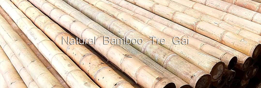 Bamboo_Tre_Gai_Natural_2